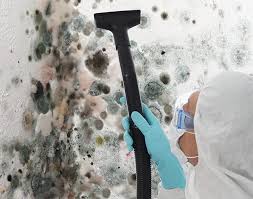 Trusted Vinton, VA Mold Remediation Experts